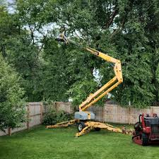 Best Lawn Watering Services  in Markle, IN