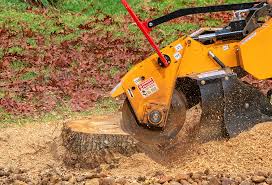 Best Tree and Shrub Care  in Markle, IN