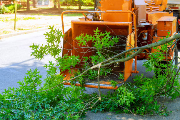 Best Lawn Grading and Leveling  in Markle, IN