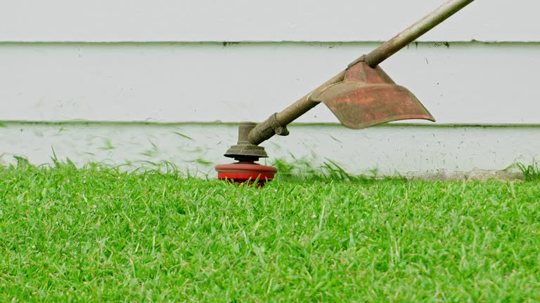 Best Seasonal Cleanup (Spring/Fall)  in Markle, IN